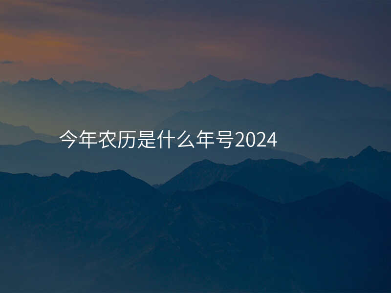 今年农历是什么年号2024