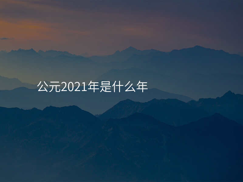 公元2021年是什么年