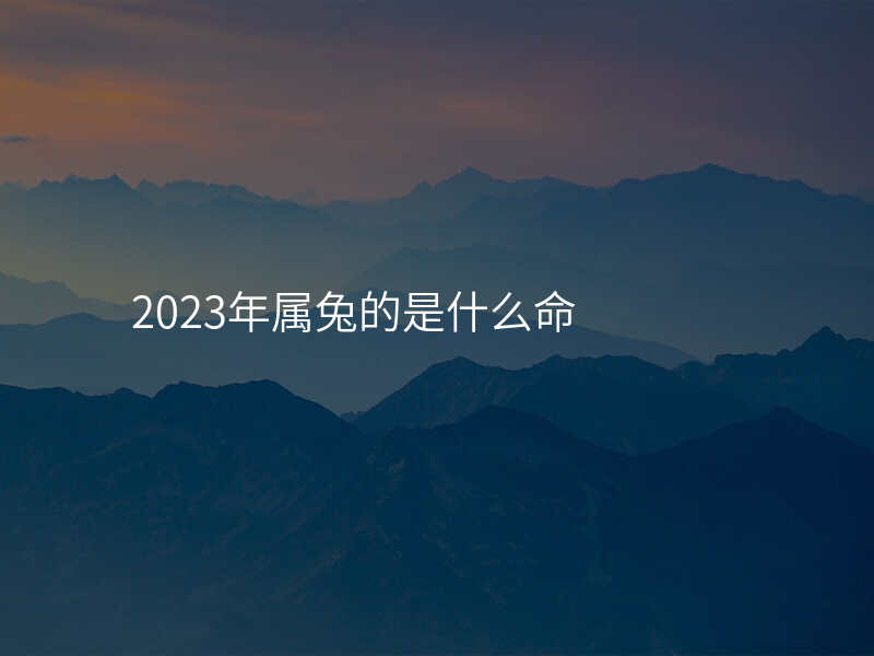2023年属兔的是什么命