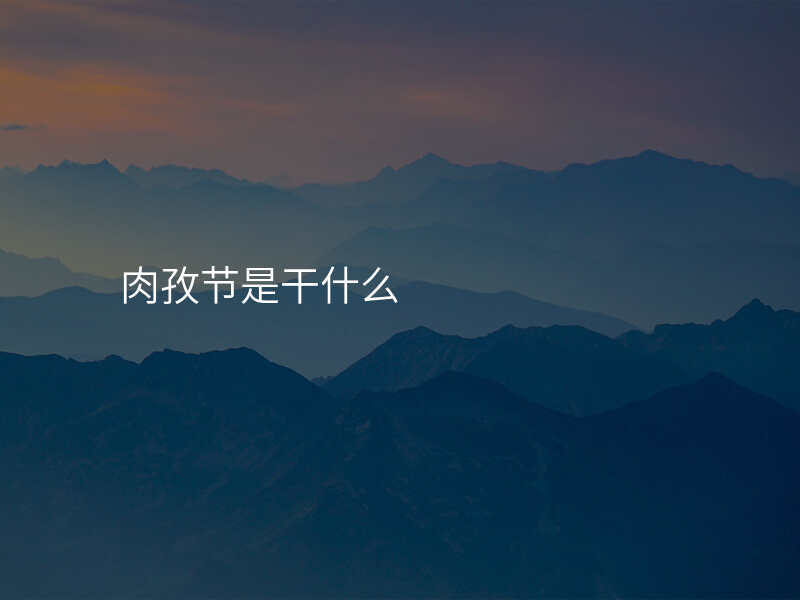肉孜节是干什么