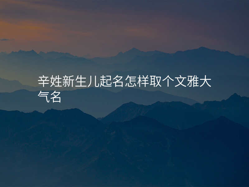 辛姓新生儿起名怎样取个文雅大气名