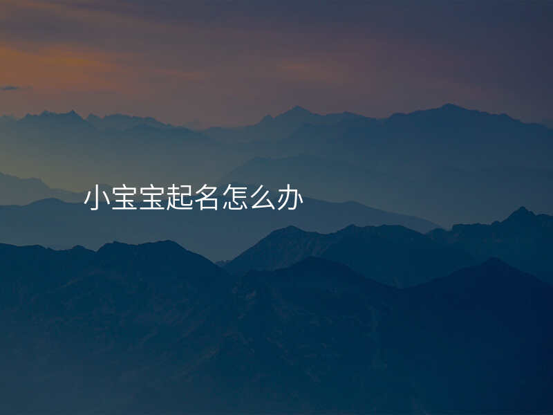 小宝宝起名怎么办