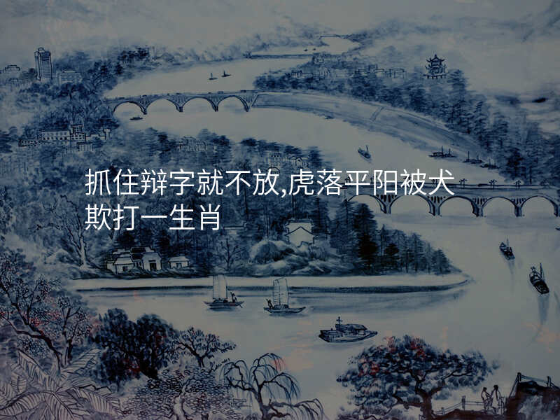 抓住辩字就不放,虎落平阳被犬欺打一生肖