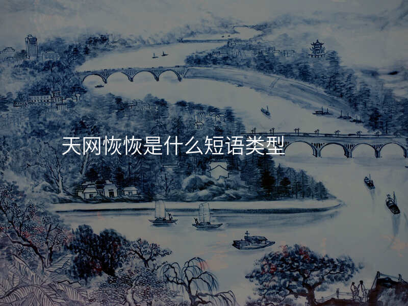 天网恢恢是什么短语类型