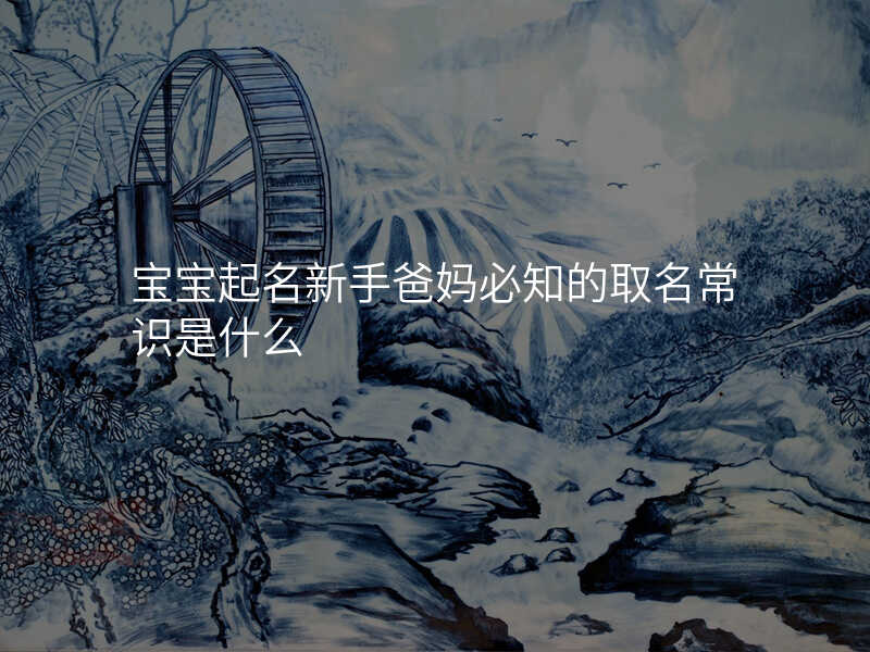 宝宝起名新手爸妈必知的取名常识是什么