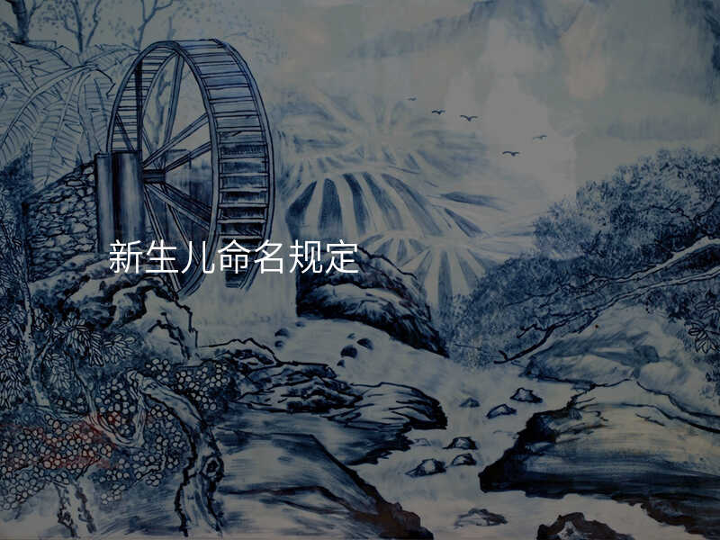 新生儿命名规定