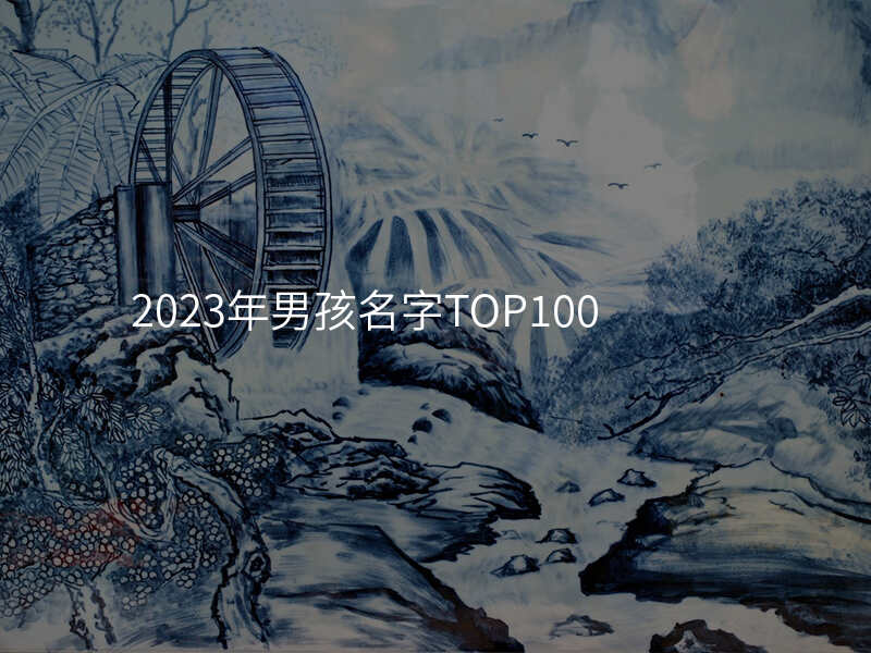 2023年男孩名字TOP100