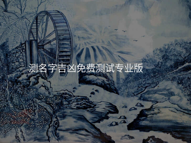 测名字吉凶免费测试专业版