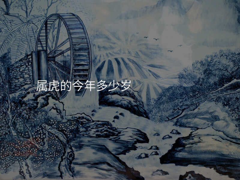 属虎的今年多少岁