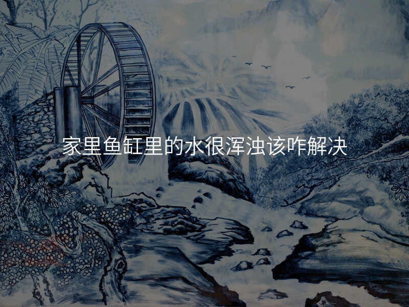 家里鱼缸里的水很浑浊该咋解决
