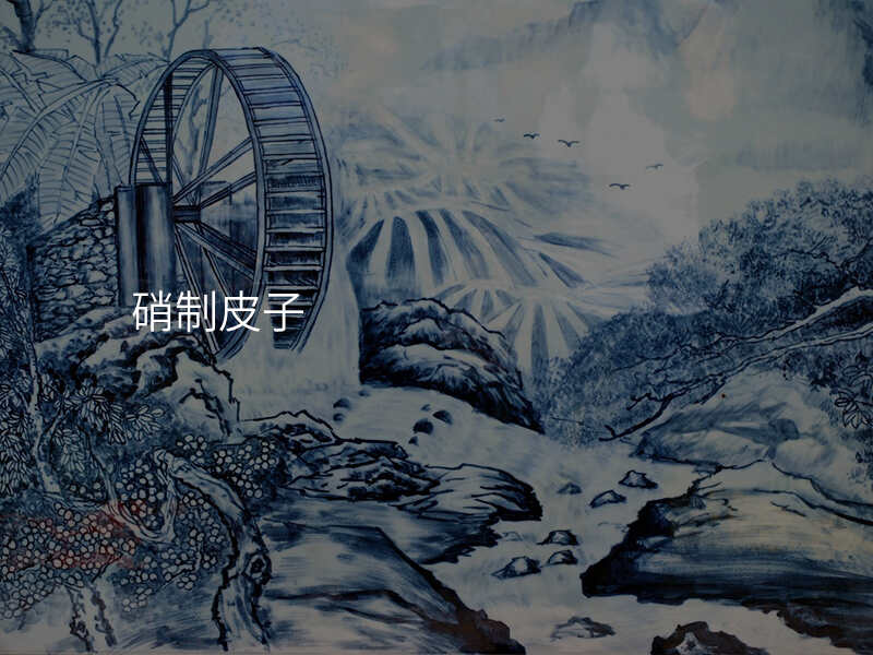 硝制皮子