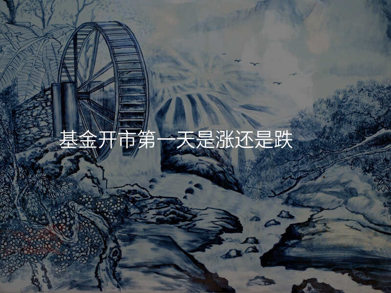 基金开市第一天是涨还是跌