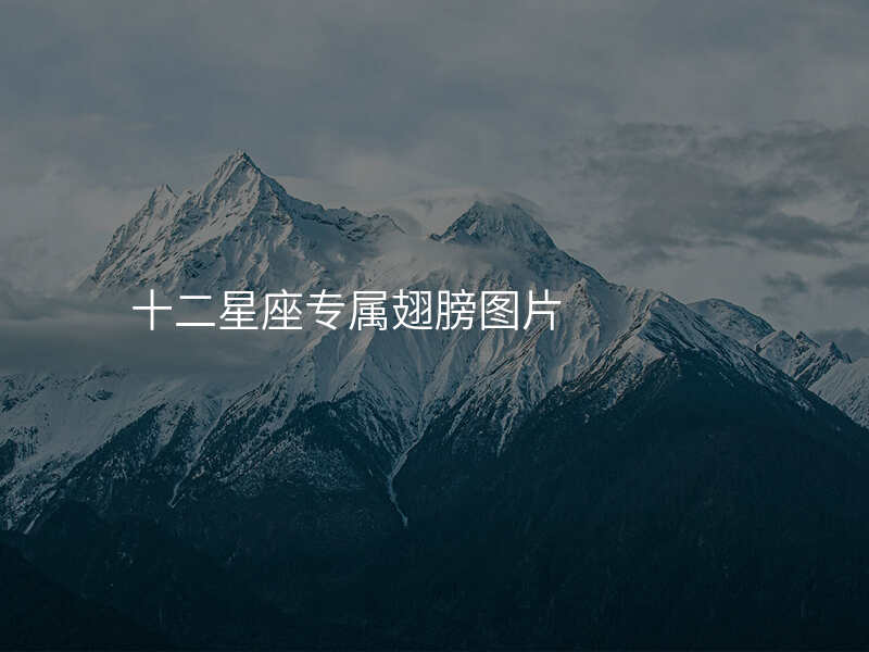 十二星座专属翅膀图片