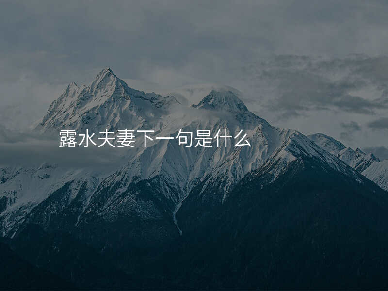 露水夫妻下一句是什么