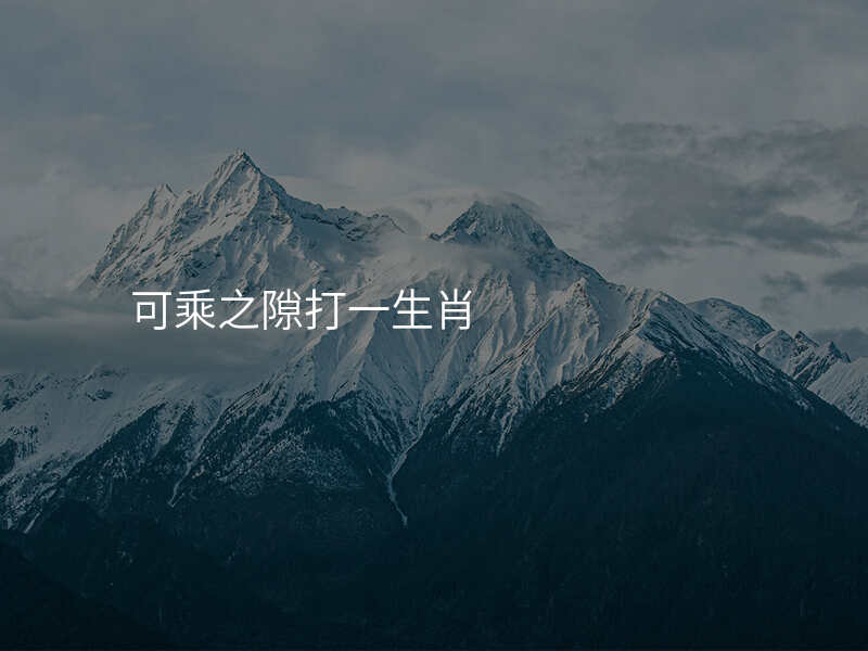 可乘之隙打一生肖
