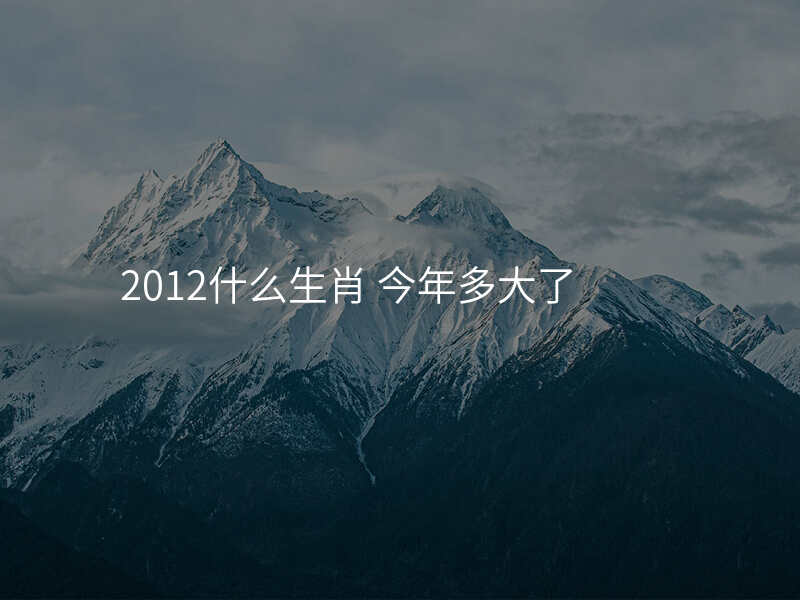 2012什么生肖 今年多大了