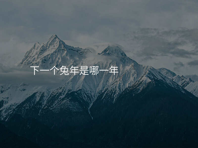 下一个兔年是哪一年