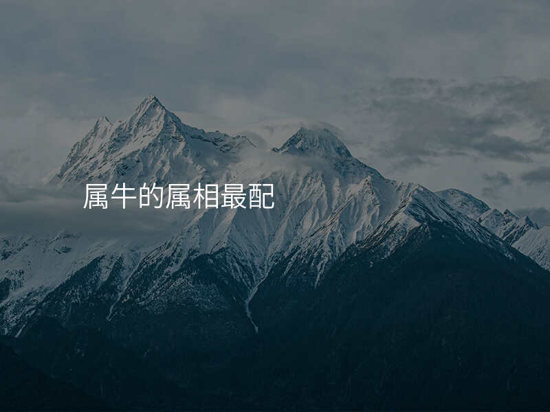 属牛的属相最配