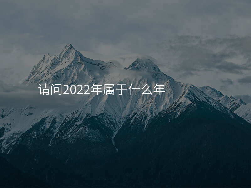请问2022年属于什么年