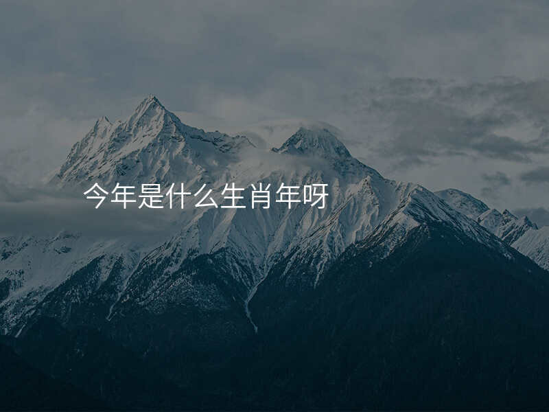 今年是什么生肖年呀