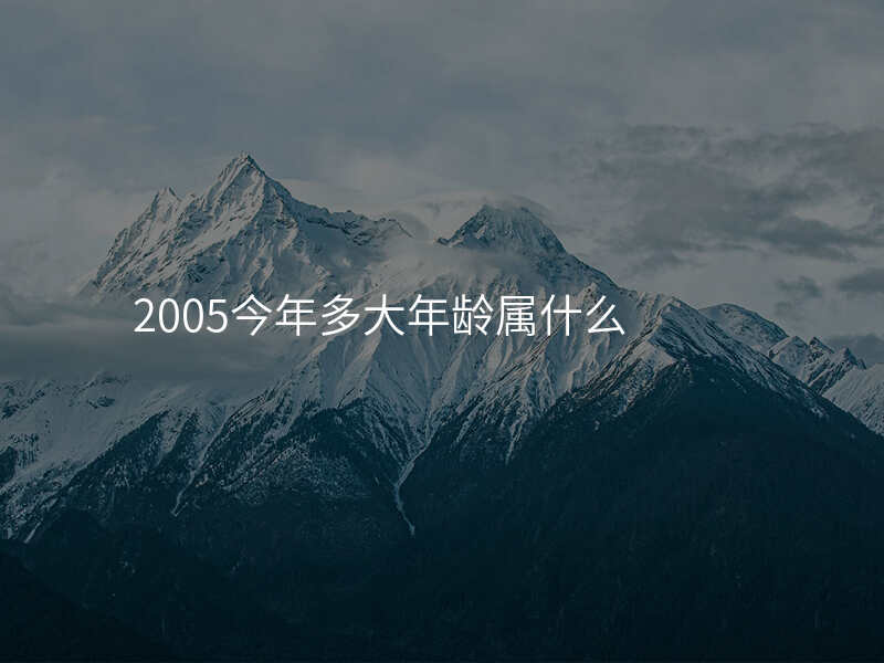 2005今年多大年龄属什么