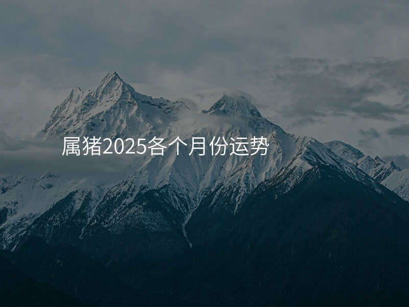 属猪2025各个月份运势