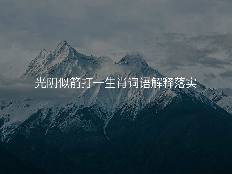 光阴似箭打一生肖词语解释落实