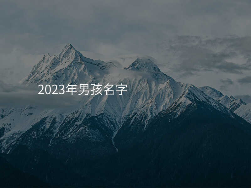 2023年男孩名字