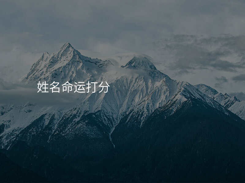 姓名命运打分