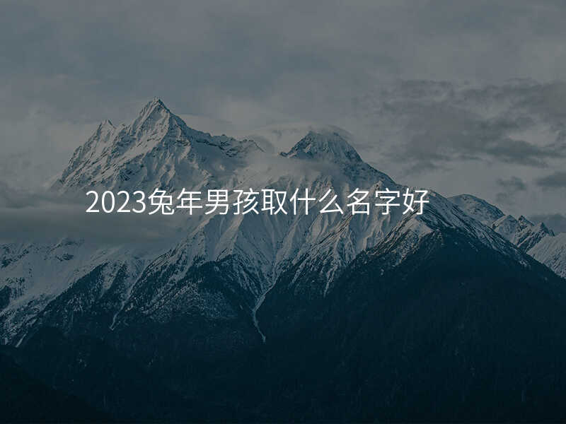 2023兔年男孩取什么名字好