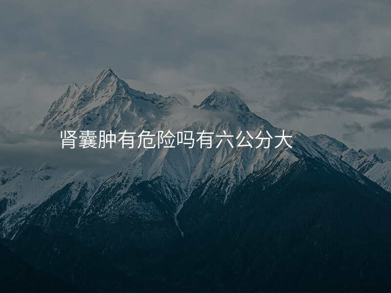 肾囊肿有危险吗有六公分大