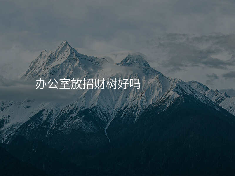 办公室放招财树好吗