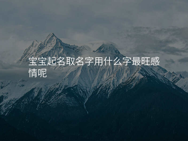 宝宝起名取名字用什么字最旺感情呢