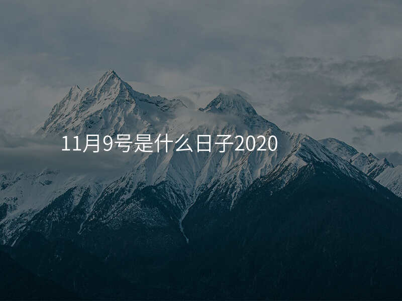 11月9号是什么日子2020
