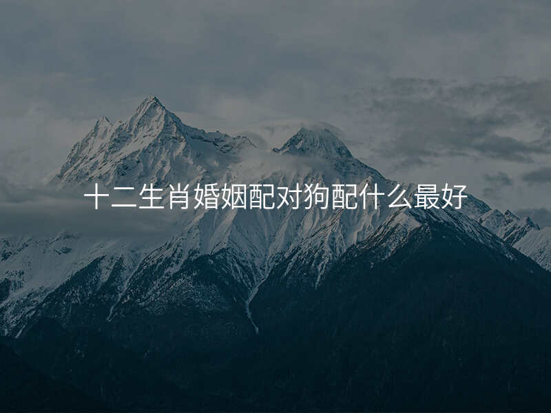 十二生肖婚姻配对狗配什么最好