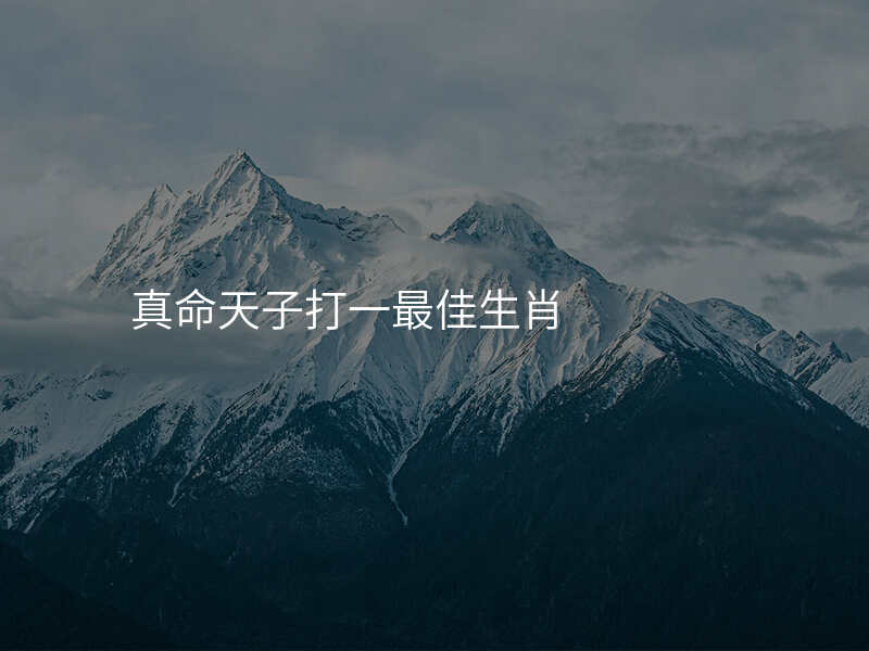 真命天子打一最佳生肖