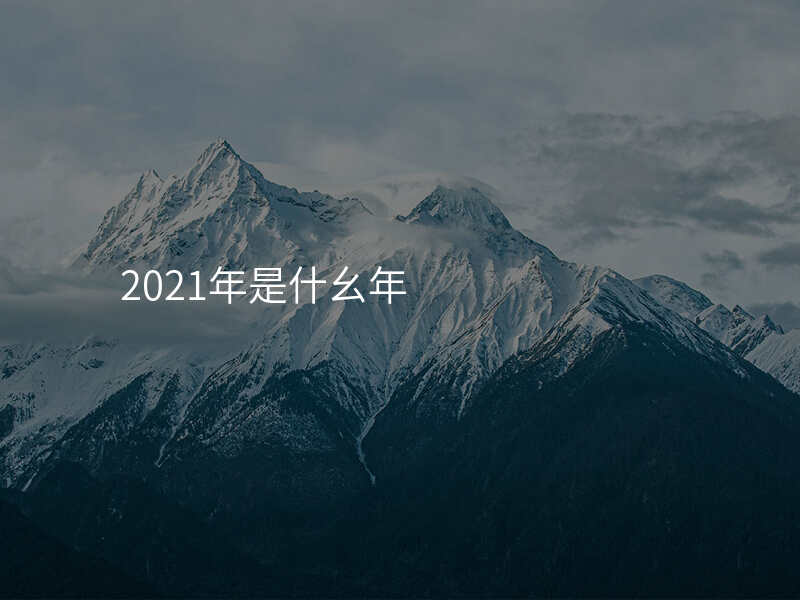 2021年是什幺年