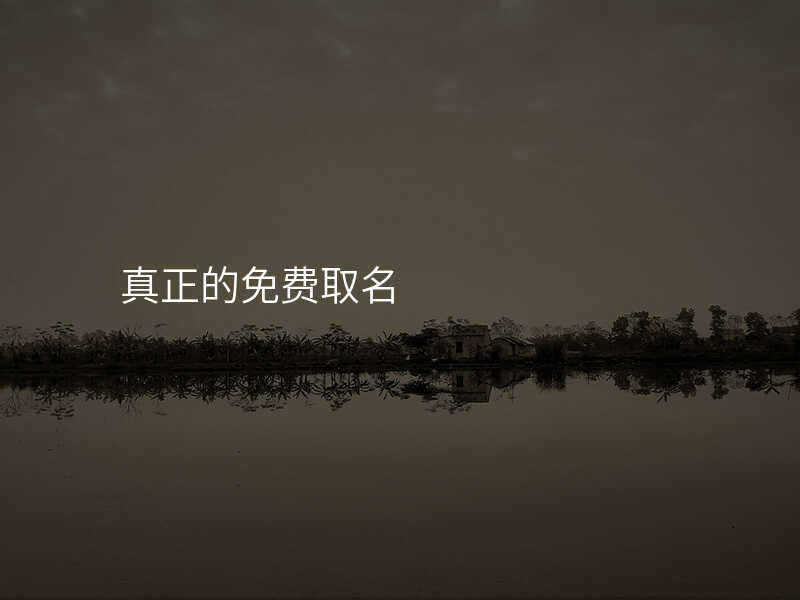 真正的免费取名