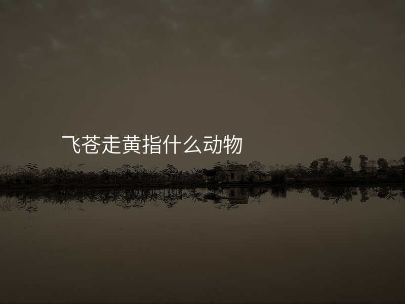 飞苍走黄指什么动物