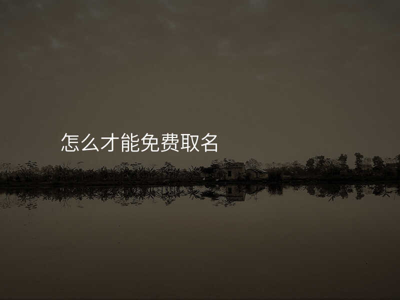 怎么才能免费取名
