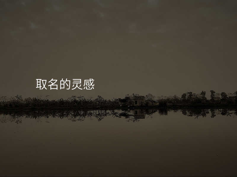 取名的灵感