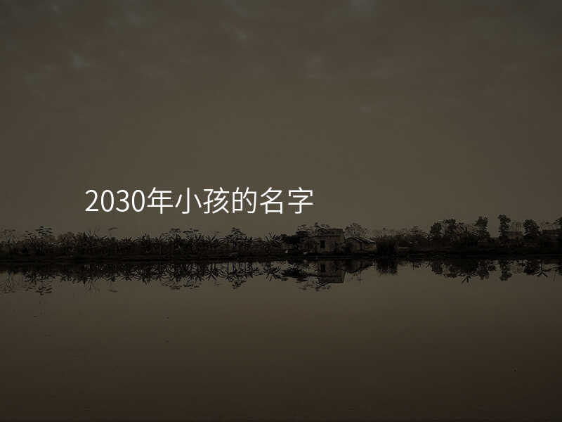 2030年小孩的名字