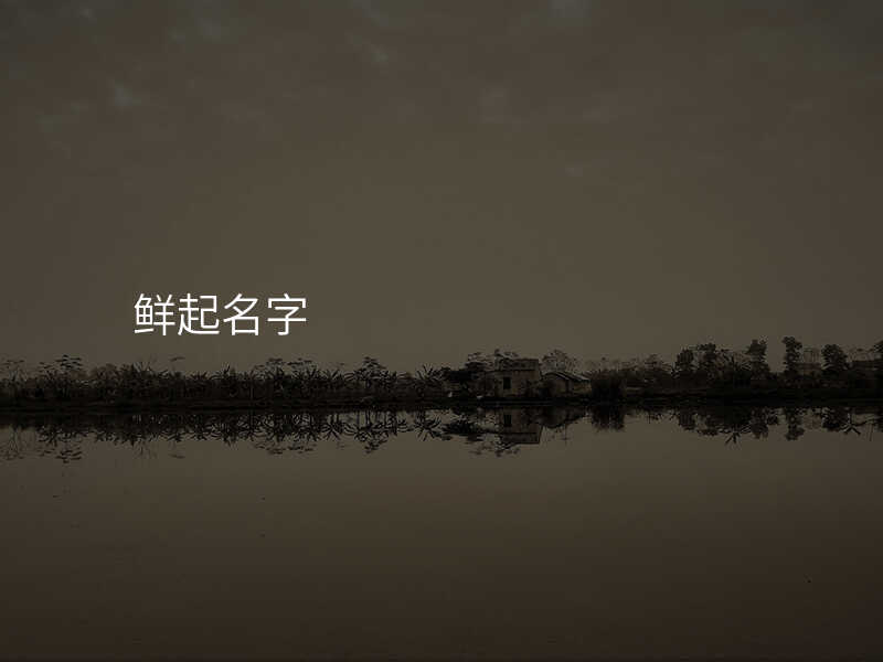 鲜起名字