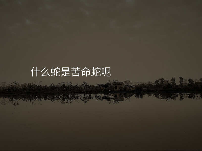 什么蛇是苦命蛇呢
