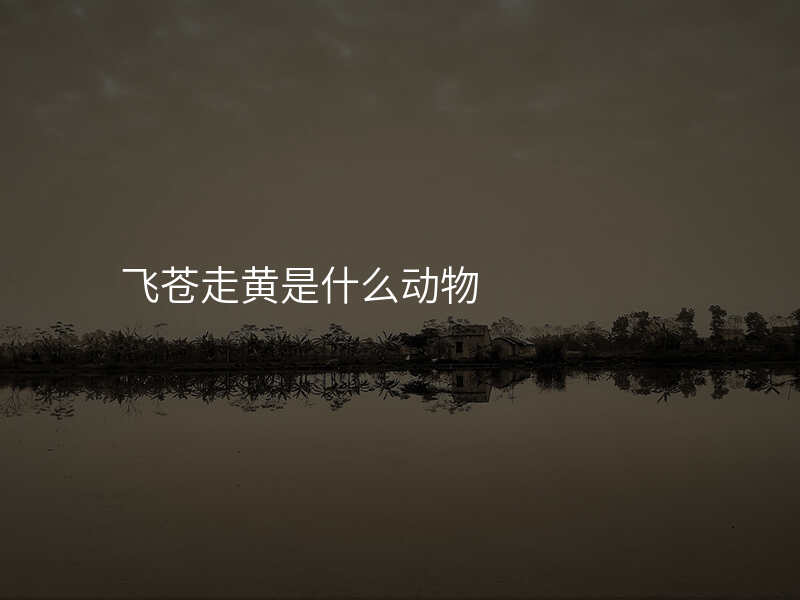 飞苍走黄是什么动物