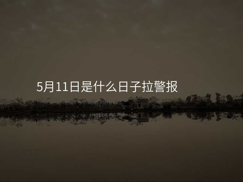 5月11日是什么日子拉警报