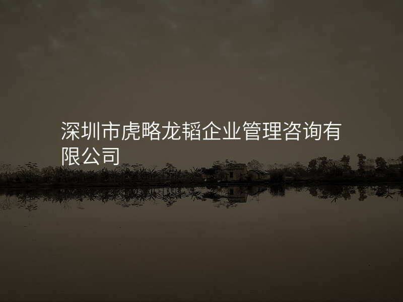 深圳市虎略龙韬企业管理咨询有限公司