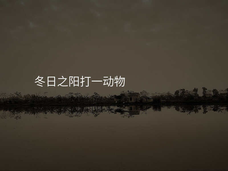 冬日之阳打一动物