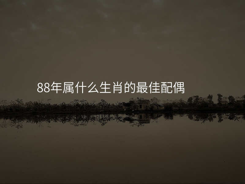 88年属什么生肖的最佳配偶