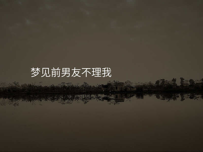 梦见前男友不理我
